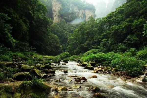 win7电脑网卡驱动坏了连不上网怎么办游戏画面